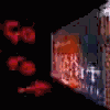 Scar Night Web Site, Link, Animation.