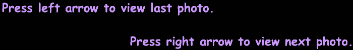 Navigation, Graphic Textbox.