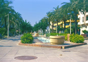 Avenue In Puerto Di Moraira, Spain, Photo.